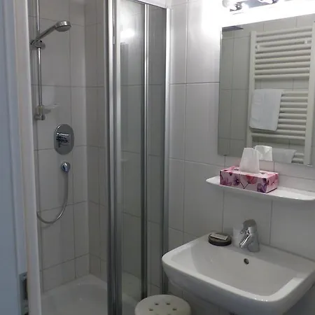 فندق Ehinger Rose 3*