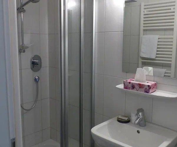 Hotel Ehinger Rose 3*